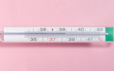 La Véritable Histoire Cachée Derrière Votre Crème Anti-Rides