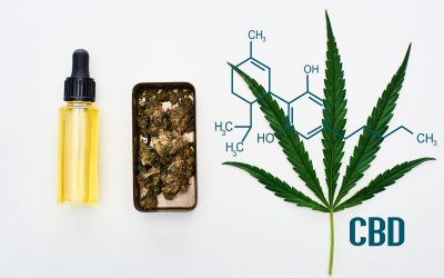 Le CBD : un allié thérapeutique aux multiples facettes