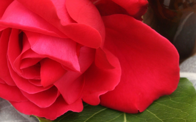 Révolution parapharmacie 2024 : guide pratique des toutes nouvelles innovations incontournables