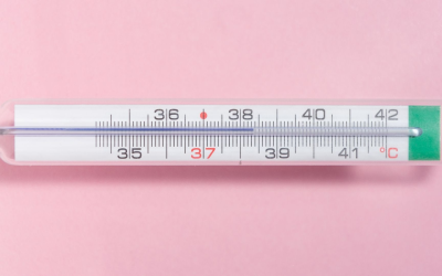 Parapharmacie 2024 : tendances, innovations et guide d&rsquo;achat éclairé